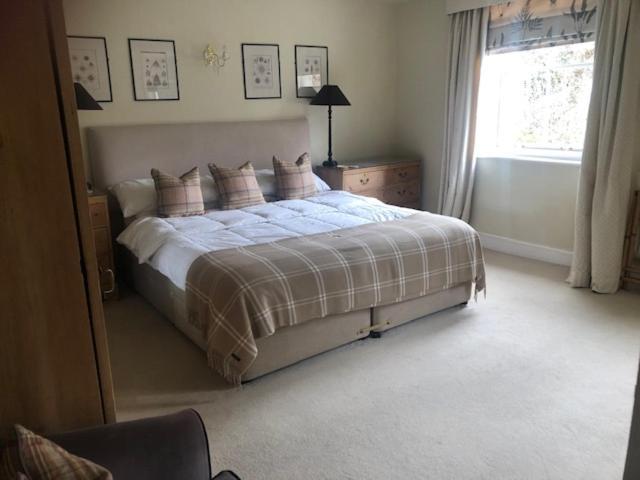 Wartling Place Country House Extérieur photo